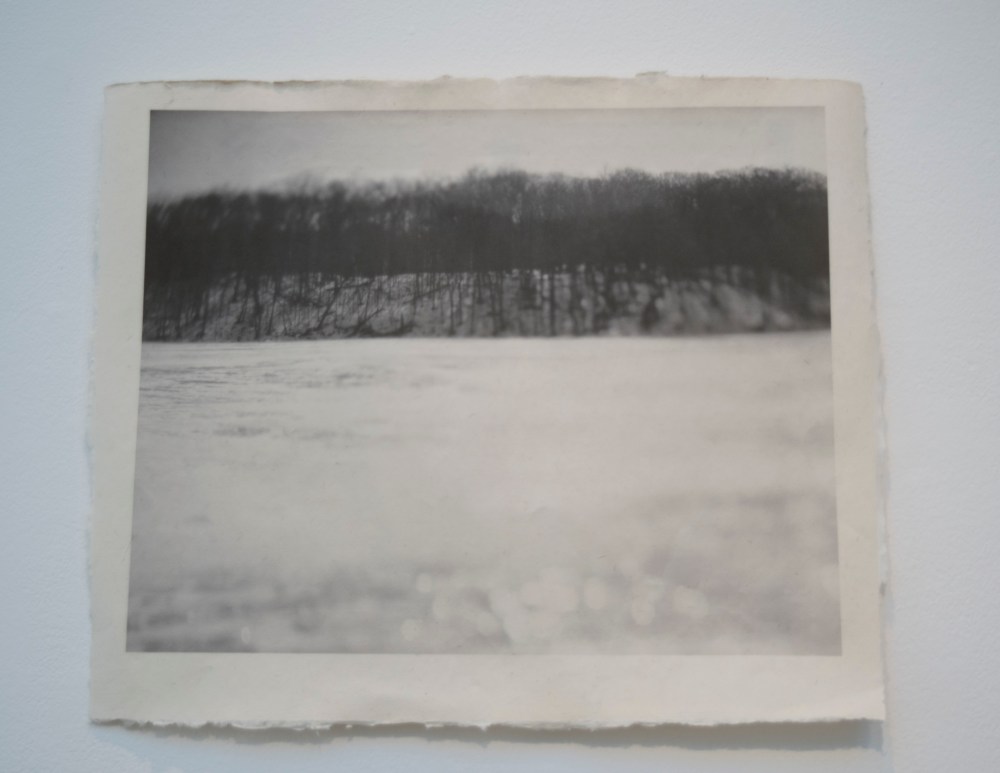 lovely light through branches